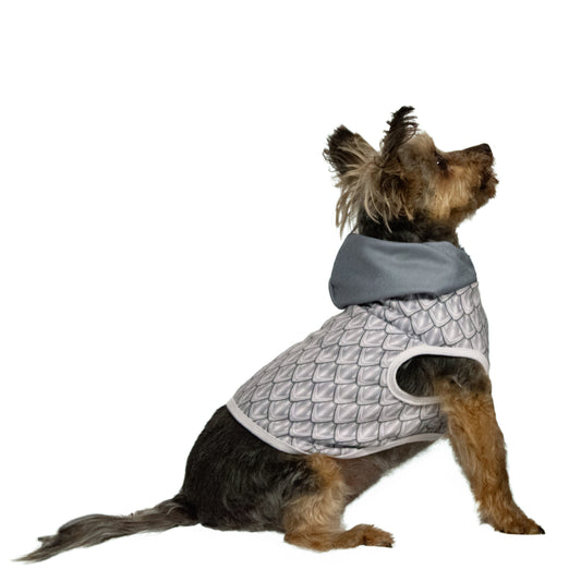Paw-ladin Armor Pet Hoodie
